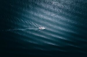 Opdag Potentialet i Matchrace: Teambuilding på Havet med GoSail